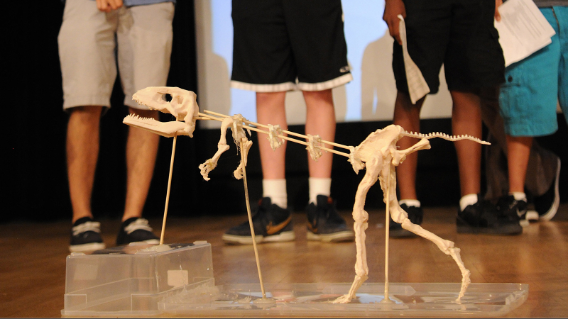 Illustration for article titled AMNH 3D-Printing Camp: Let's Make Some Dinos
